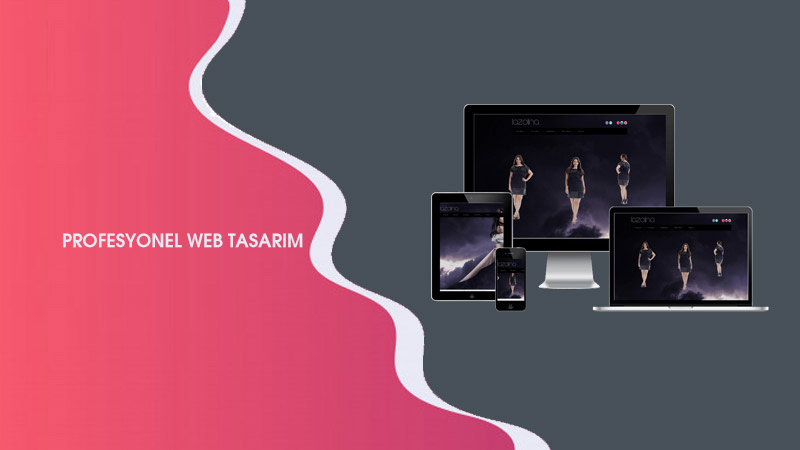 Profesyonel Web Tasarım