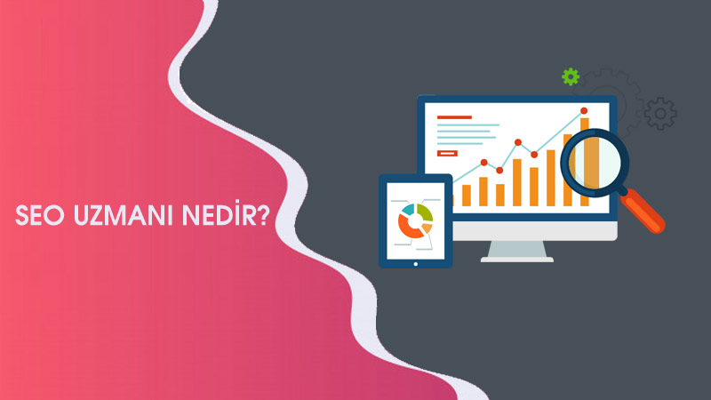 SEO Uzmanı Nedir